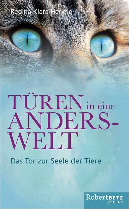 Buch-Tueren-in-eine-Anderswelt